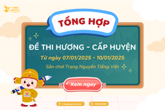 Tổng hợp đề thi Hương - cấp Huyện sân chơi Trạng Nguyên Tiếng Việt năm học 2024 - 2025 