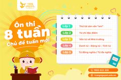 Hành trình ôn thi 8 tuần cùng Trạng Nguyên Tiếng Việt